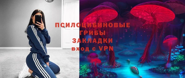 дмт Корсаков