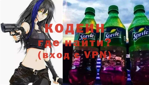 дмт Корсаков