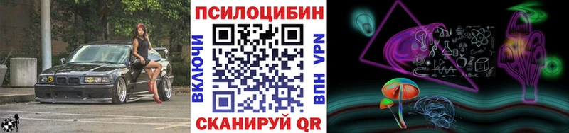 Купить закладки  Балахна  Галлюциногенные грибы Psilocybe 